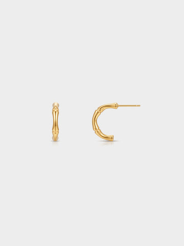 Bamboo Arc Earrings